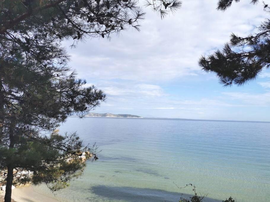 Central Thassos Apartment 3 ภายนอก รูปภาพ